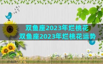 双鱼座2023年烂桃花 双鱼座2023年烂桃花运势